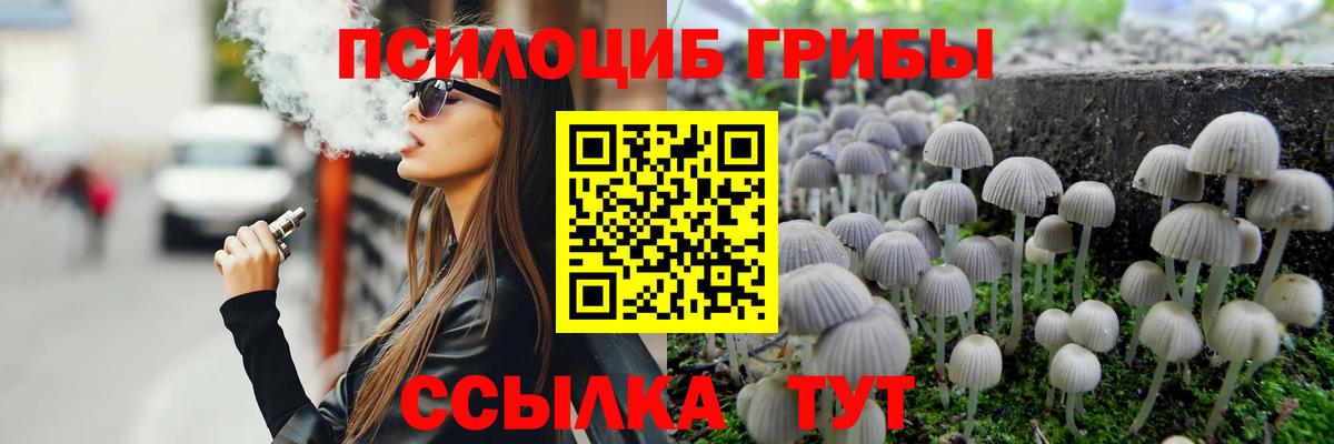 Псилоцибиновые грибы Psilocybe  Вход с VPN  Арзамас 
